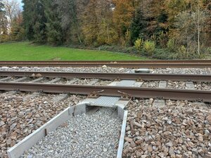 Waldstudio amphibian passage rail track